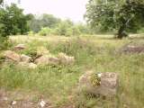 misc005.html