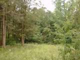 misc006.html