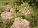 misc008.html