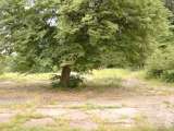 misc009.html