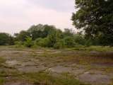 misc010.html