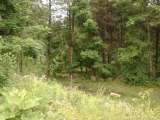misc012.html