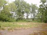 misc019.html