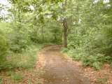 misc022.html