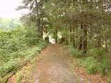 misc024.html
