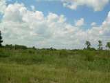 florida_splendid_06-0864.html