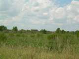 florida_splendid_06-0865.html