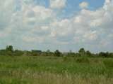 florida_splendid_06-0866.html