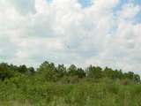 florida_splendid_06-0867.html