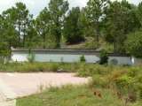 florida_splendid_06-0870.html