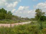florida_splendid_06-0871.html
