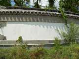 florida_splendid_06-0872.html