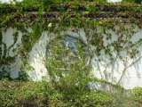 florida_splendid_06-0873.html