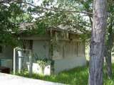 florida_splendid_06-0874.html