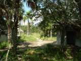 florida_splendid_06-0875.html