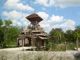 florida_splendid_06-0879.html