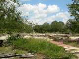 florida_splendid_06-0885.html