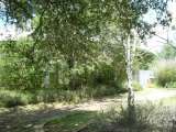 florida_splendid_06-0889.html