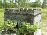 florida_splendid_06-0900.html