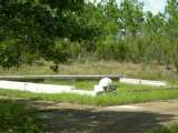 florida_splendid_06-0904.html