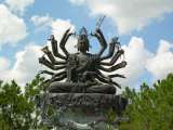 florida_splendid_06-0908.html