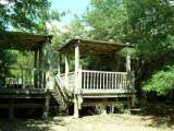 florida_splendid_06-0909.html