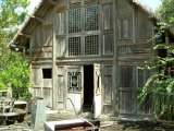 florida_splendid_06-0912.html