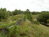 florida_splendid_06-0919.html