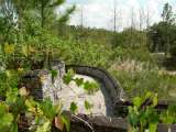 florida_splendid_06-0920.html