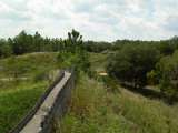 florida_splendid_06-0921.html