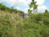 florida_splendid_06-0923.html