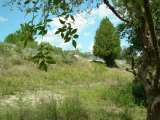 florida_splendid_06-0924.html