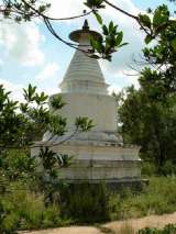 florida_splendid_06-0927.html