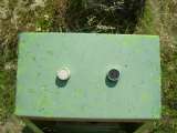 florida_splendid_06-0928.html