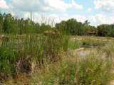 florida_splendid_06-0948.html