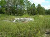 florida_splendid_06-0951.html
