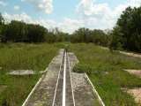 florida_splendid_06-0952.html