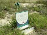 florida_splendid_06-0959.html