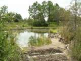florida_splendid_06-0962.html
