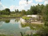 florida_splendid_06-0963.html