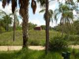 florida_splendid_06-0964.html