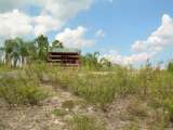 florida_splendid_06-0967.html