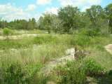 florida_splendid_06-0968.html