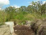 florida_splendid_06-0969.html