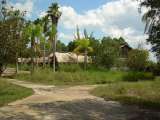 florida_splendid_06-0970.html