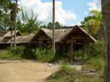 florida_splendid_06-0971.html