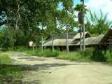 florida_splendid_06-0972.html