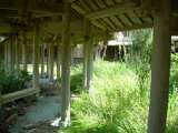 florida_splendid_06-0974.html
