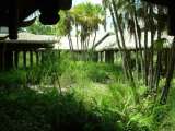 florida_splendid_06-0978.html