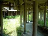 florida_splendid_06-0983.html
